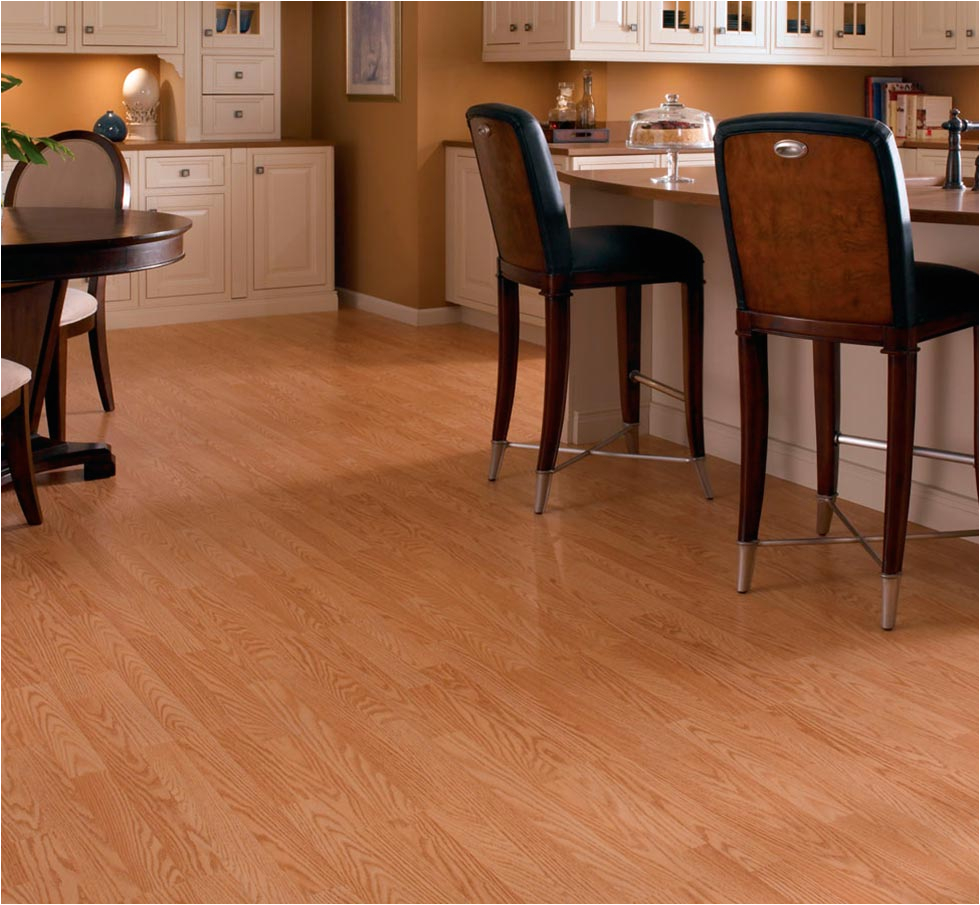 appealing interior floor design with cozy menards flooring