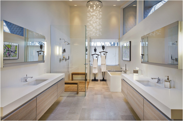 Master Bath modern bathroom minneapolis