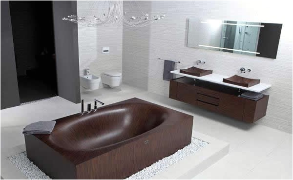 modern bathtubs made of wood and stone