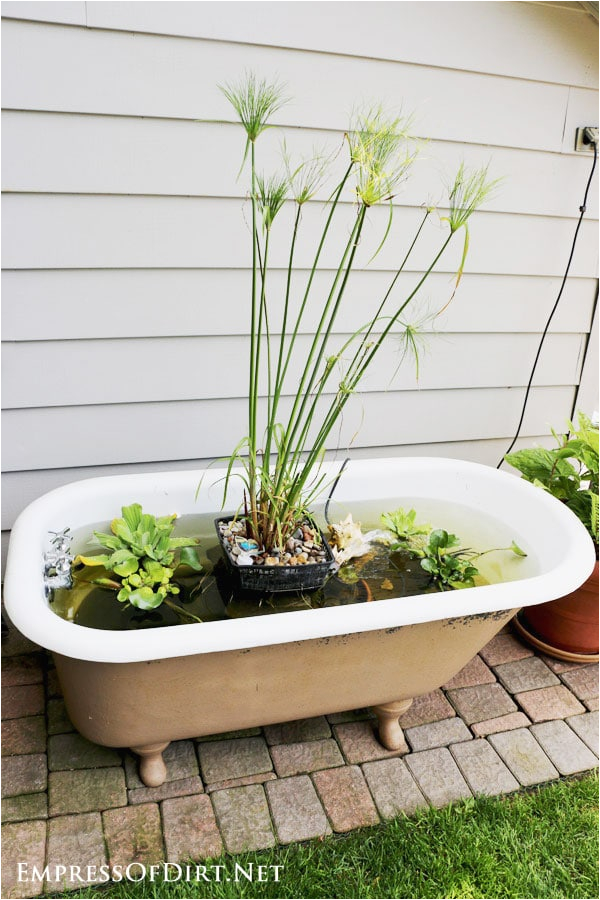 diy bathtub garden pond