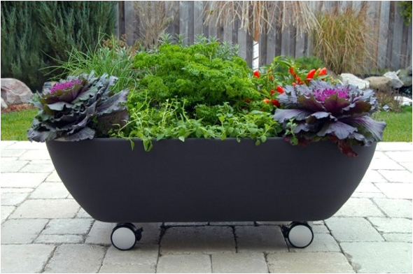 Portable Bathtub On Wheels Creative Ideas to Recycle Old Bathtubs