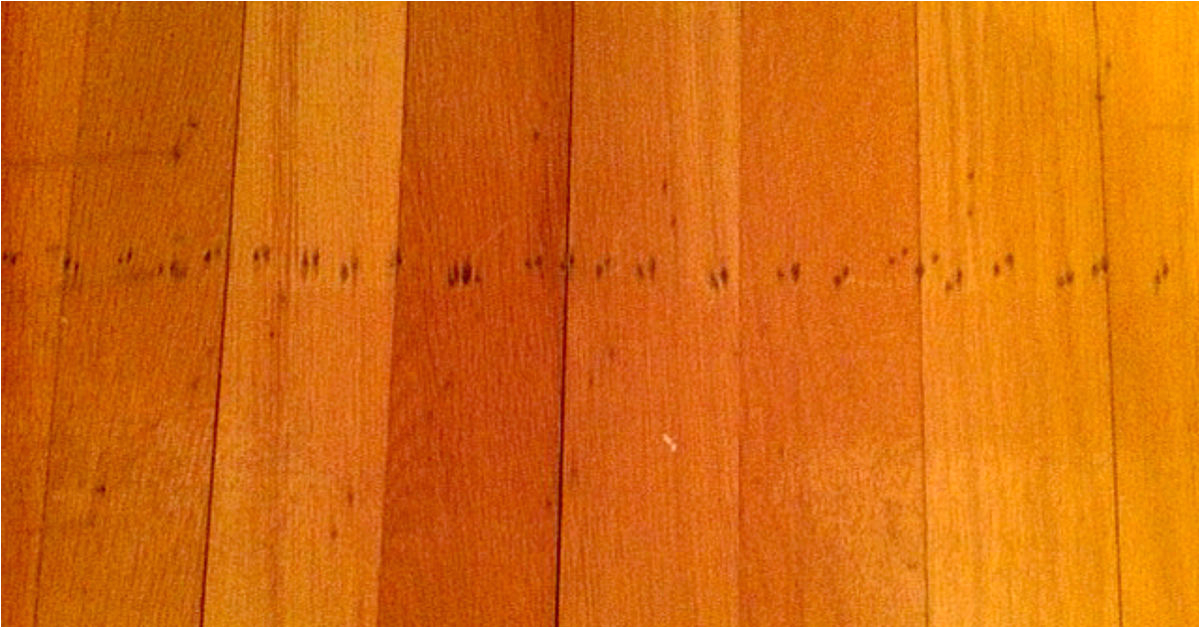 q how to repair nail holes in 55 year old oak flooring