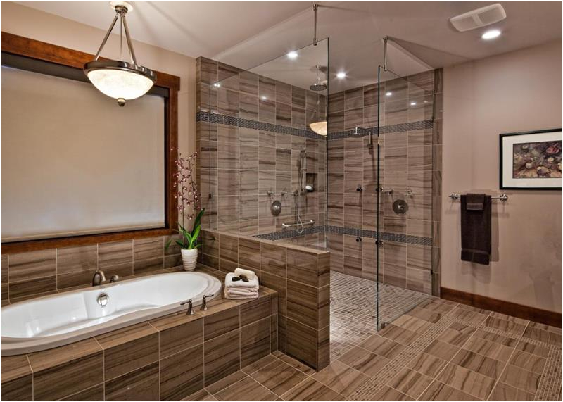 Walk In Bathtub Designs 25 Luxury Walk In Showers