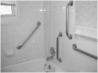 bathroom grab bars