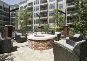 1 Bedroom Apartments Downtown Greenville Sc Gallery