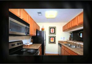 1 Bedroom Apartments for Rent In Virginia Beach Nesbit Ferry Crossing Apartments Alpharetta Apartments for Rent