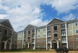 1 Bedroom Apartments Greenville Sc 2 Bedroom Apartments In Greenville Nc New Ardmore at the Park