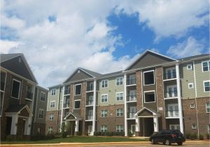 1 Bedroom Apartments Greenville Sc 2 Bedroom Apartments In Greenville Nc New Ardmore at the Park
