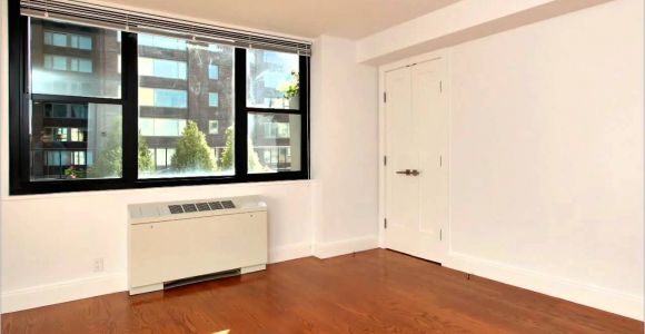 1 Bedroom Apartments In the Bronx $800 Park tower south Apartment 19d Youtube