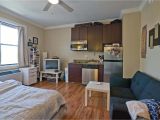 1 Bedroom Apartments In the Bronx for Rent Lovely One Bedroom Apartment Craigslist Furnitureinredsea Com