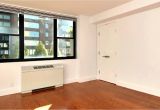 1 Bedroom Apartments In the Bronx for Rent Park tower south Apartment 19d Youtube
