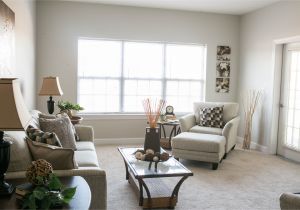 1 Bedroom Apartments In Virginia Beach Va Saltmeadow Bay Apartments In Virginia Beach Va Offer All Of the