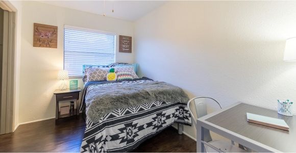 1 Bedroom Furnished Apartments In Waco Tx View Our Floorplan Options today Enclave at the Stadium