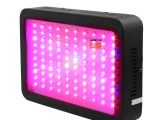 1000 Watt Led Grow Light 1000w 1200w Led Grow Light Recommeded High Cost Effective Double