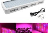 1000 Watt Led Grow Light 2018 Double Chip 1000w Full Spectrum Grow Light Kits 600w 2000w Led