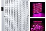 1000 Watt Led Grow Light Ipower 45 Watt Multi Spectrum Led Grow Light for Plant Growth and