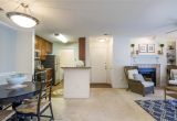 2 Bedroom Apartments for Rent In Richmond Va Richmond Va Apartment Rentals Copper Mill Apartments