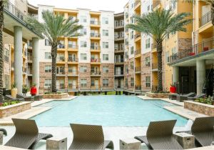 2 Bedroom Apartments Under 800 In Dallas Tx Apartments for Rent In Houston Tx Page 5 Apartments Com