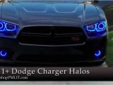2014 Dodge Charger Tail Lights oracle Dodge Charger 11 14 Headlight Halo Kit by Shoppmlit Com