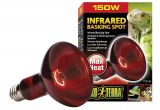 250 Watt Heat Lamp for Chickens Amazon Com Exo Terra Heat Glo Infrared Spot Lamp 150 Watt 120