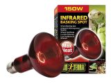 250 Watt Heat Lamp for Chickens Amazon Com Exo Terra Heat Glo Infrared Spot Lamp 150 Watt 120