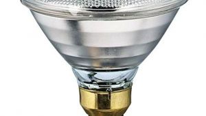 250 Watt Heat Lamp for Chickens Philips 175 Watt 120 Volt Par 38 Incandescent Heat Lamp Light Bulb