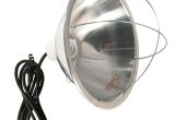 250 Watt Heat Lamp for Chickens Woods 0165 Brooder Lamp with Bulb Guard 10 5 Inch Reflector and 6