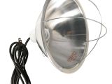 250 Watt Heat Lamp for Chickens Woods 0165 Brooder Lamp with Bulb Guard 10 5 Inch Reflector and 6