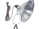 250 Watt Heat Lamp for Chickens Woods 0165 Brooder Lamp with Bulb Guard 10 5 Inch Reflector and 6