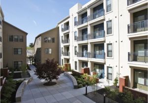 3 Bedroom Apartments In Midtown Sacramento Linq Midtown Apartments