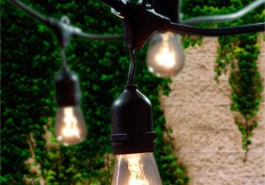 4 Foot Black Light Lemontec Commercial Grade Outdoor String Lights with 15 Hanging