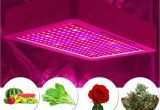 600 Watt Led Grow Light Amazon Com Castnoo Led Grow Light 600w Full Spectrum Indoor Plant
