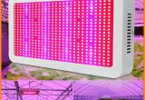 600 Watt Led Grow Light Full Spectrum Grow Light Kits 600w Led Grow Lights Flowering Plant