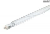 8 Foot Fluorescent Light Bulbs Philips 20 Watt 2 Ft Linear T12 Fluorescent Light Bulb Daylight