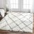 8 X 6 Feet Rugs Inspired by Moroccan Berber Carpets This Trellis Shag Rug Adds