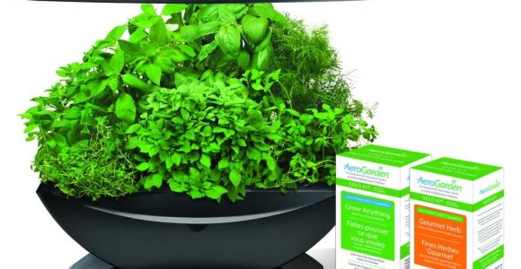 Aero Herb Garden Aerogarden 7 W Gourmet Herb Grow Anything Kit Aero500