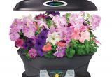 Aero Herb Garden Amazon Com Aerogarden Extra with Gourmet Herb Seed Pod Kit