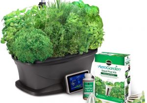 Aero Herb Garden Amazon Com Miracle Gro Aerogarden Bounty with Gourmet Herb Seed