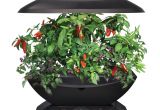 Aero Herb Garden Miracle Gro Aerogarden 7 Indoor Garden Dealducks