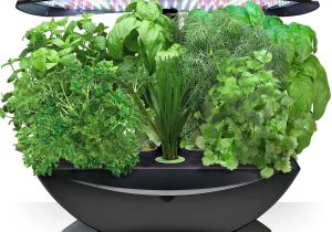 Aero Herb Garden Miracle Gro Aerogarden 7 Led with Gourmet Herb Seed Pod Kit