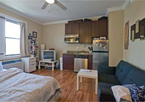 Affordable 1 Bedroom Apartments In the Bronx Lovely One Bedroom Apartment Craigslist Furnitureinredsea Com