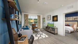 Affordable 3 Bedroom Apartments In orlando Cheap One Bedroom Apartments In orlando Awesome Studio Apartment In