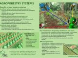 Aguinaga forest Floor Mulch One Stop organic Shop East Africa Training Materials