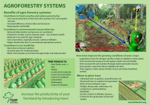 Aguinaga forest Floor Mulch One Stop organic Shop East Africa Training Materials