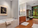 Alcove Bathtub Design Ideas Best 60 Modern Bathroom Alcove Tubs Design S and