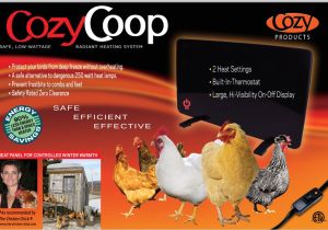 Alternative to Heat Lamp for Chickens Cozy Products
