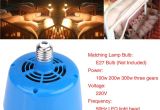 Alternative to Heat Lamp for Chickens Reptile Heating for Sale Lighting for Pet Reptiles Online Brands