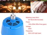 Alternative to Heat Lamp for Chickens Reptile Heating for Sale Lighting for Pet Reptiles Online Brands