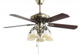 Amazon Ceiling Fans with Lights Indoor Ceiling Fan Light Fixtures Finxin Fxcf03 New Style New