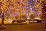 Animated Christmas Light Displays where to See Christmas Lights In Nashville